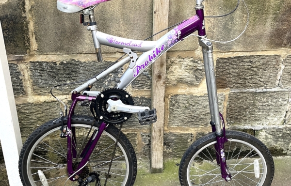 Probike Storm Cloud 24/20in tall stunt bike, purple/grey (NOT ROAD LEGAL)