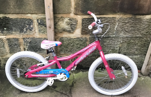 Gary Fisher Astro alloy 20in kids bike, pink