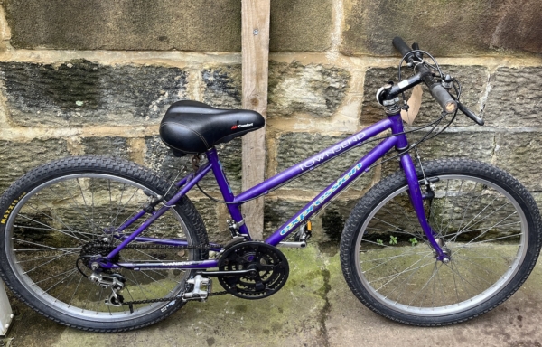Townsend Expression 24in kids bike, purple