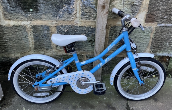 Pendleton Ashbury 16in kids bike, blue