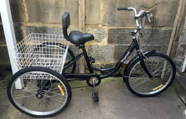 Ridgeyard adult cargo trike, black
