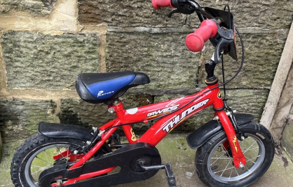 Dawes Thunder 12in kids bike, red