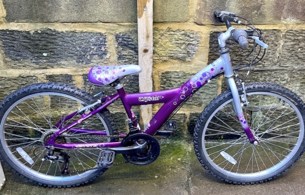 Coyote Crystal alloy 24in kids bike