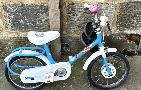 Triang Dino 12in classic kids bike, blue/white