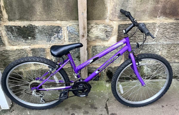 Universal Wild Thing 24in kids bike, purple