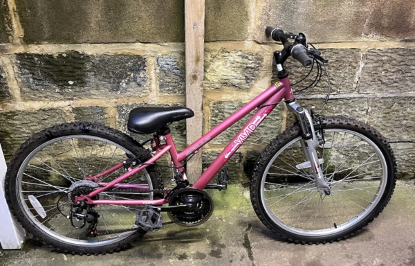 Apollo Vivid 24in kids bike, pink