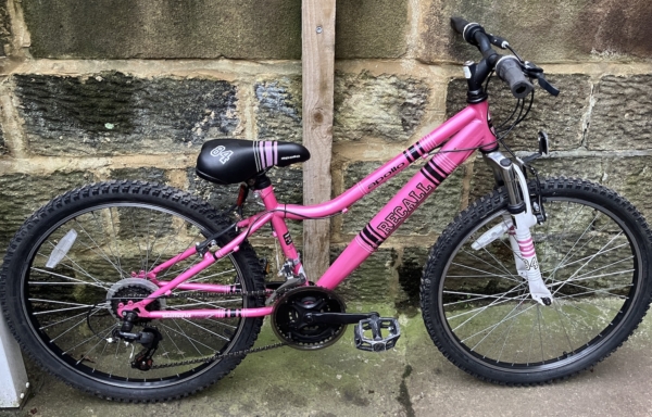 Apollo Recall 24in kids bike, pink