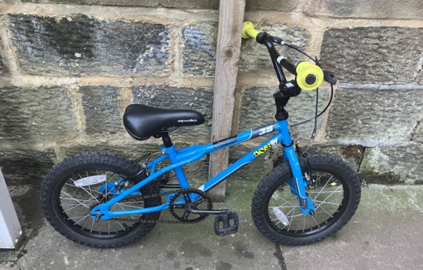 Apollo Ace 38 16in kids bike, blue