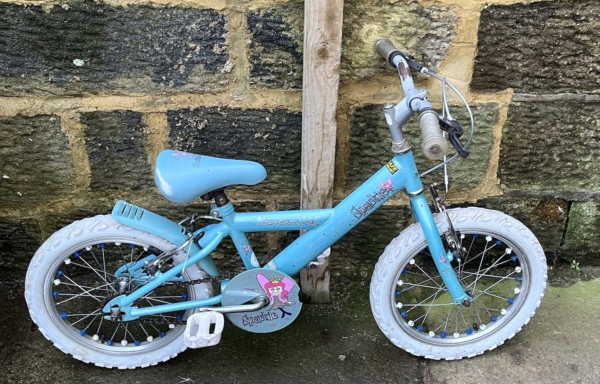 Apollo Sparkle 16in kids bike, light blue