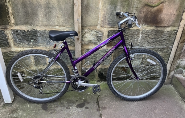 Sorrento Saphrane ladies MTB, purple