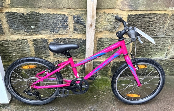 Specialized Hotrock alloy 20″ kids bike, pink