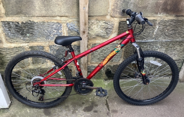 Apollo Crank 24in kids bike, metallic red