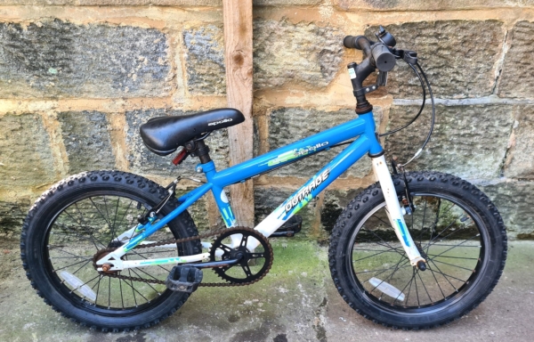 Apollo Outrage 18in kids bike, blue/white