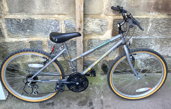 Townsend Sapuce 24in kids bike, metallic grey