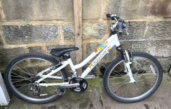 Ridgeback Destiny alloy 24in kids bike, white