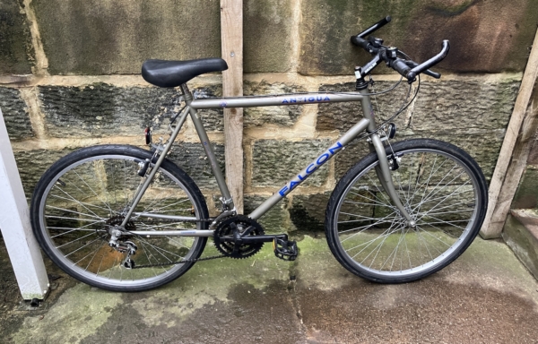 Falcon Antigua MTB, grey