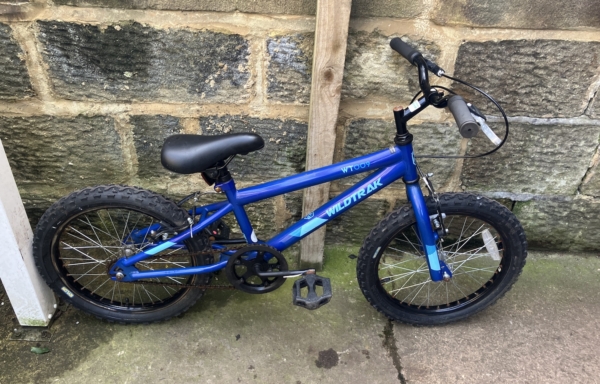 Wildtrak WT009 18in, blue