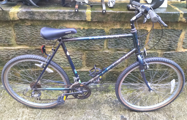 Raleigh Amazon MTB, metallic green