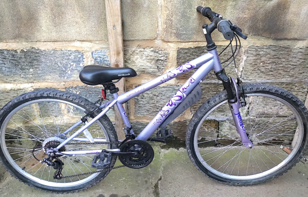 Apollo Jewel ladies MTB, metallic purple