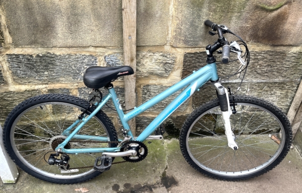 Raleigh Freeride alloy ladies MTB, metallic blue