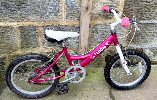 Dawes Lottie 16in kids bike, pink