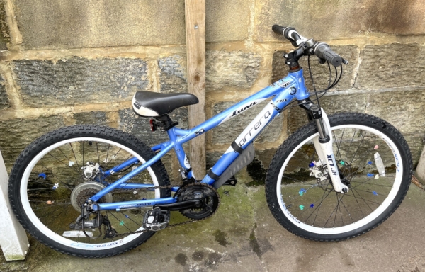 Carrera Luna alloy disc 24in kids bike, metallic light blue