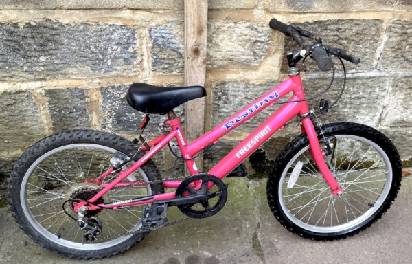 Freespirit Destiny 18in kids bike, pink