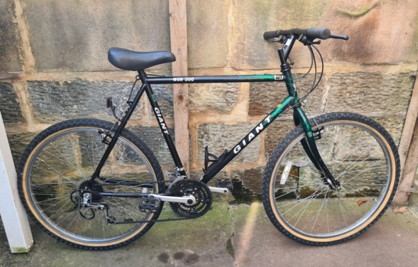Giant GSR 300 MTB, green