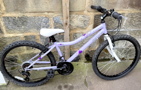 Pazzaz Diamond ProRXC 24in kids bike, purple
