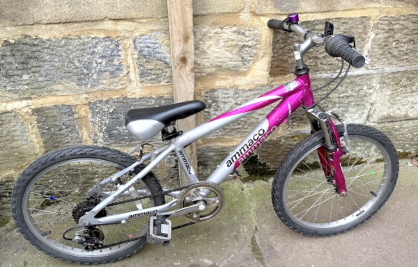 Ammaco 20in kids bike, pink/silver
