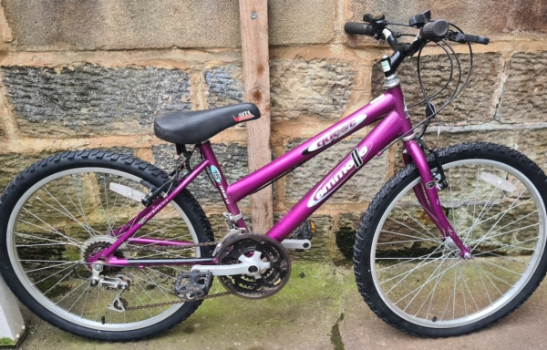 Emmelle Quest 24in kids bike, purple
